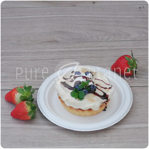 jednorazowe talerze z trzciny cukrowej 17cm Pure Planet
