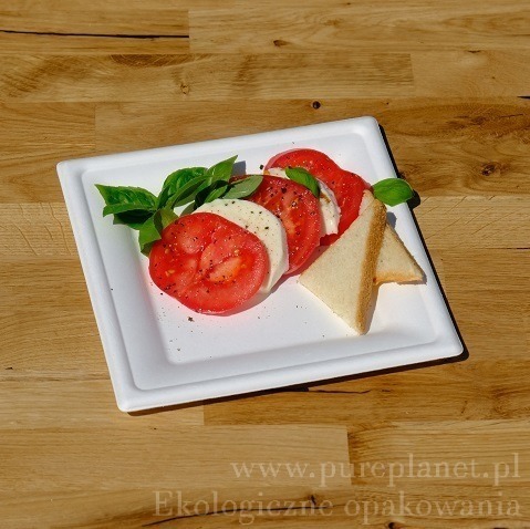 ekologiczne naczynia z trzciny cukrowej Pure Planet
